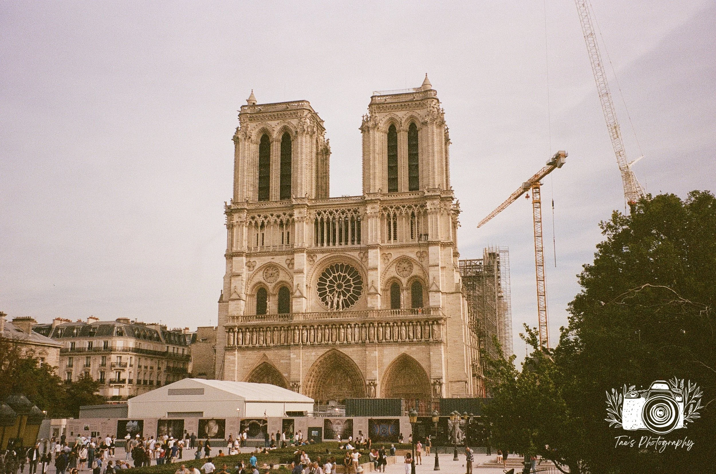 IMG_5617~photo.JPG
