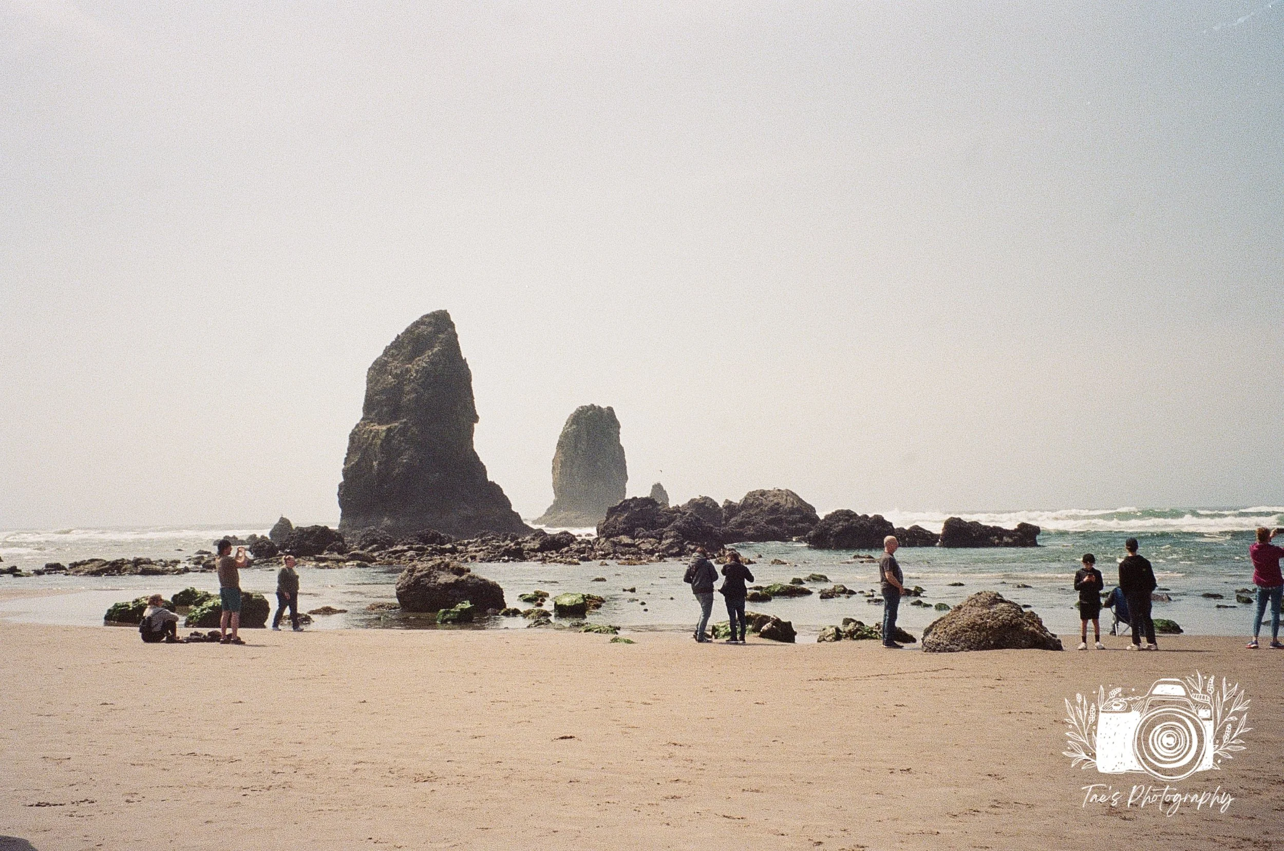 IMG_5975~photo.JPG