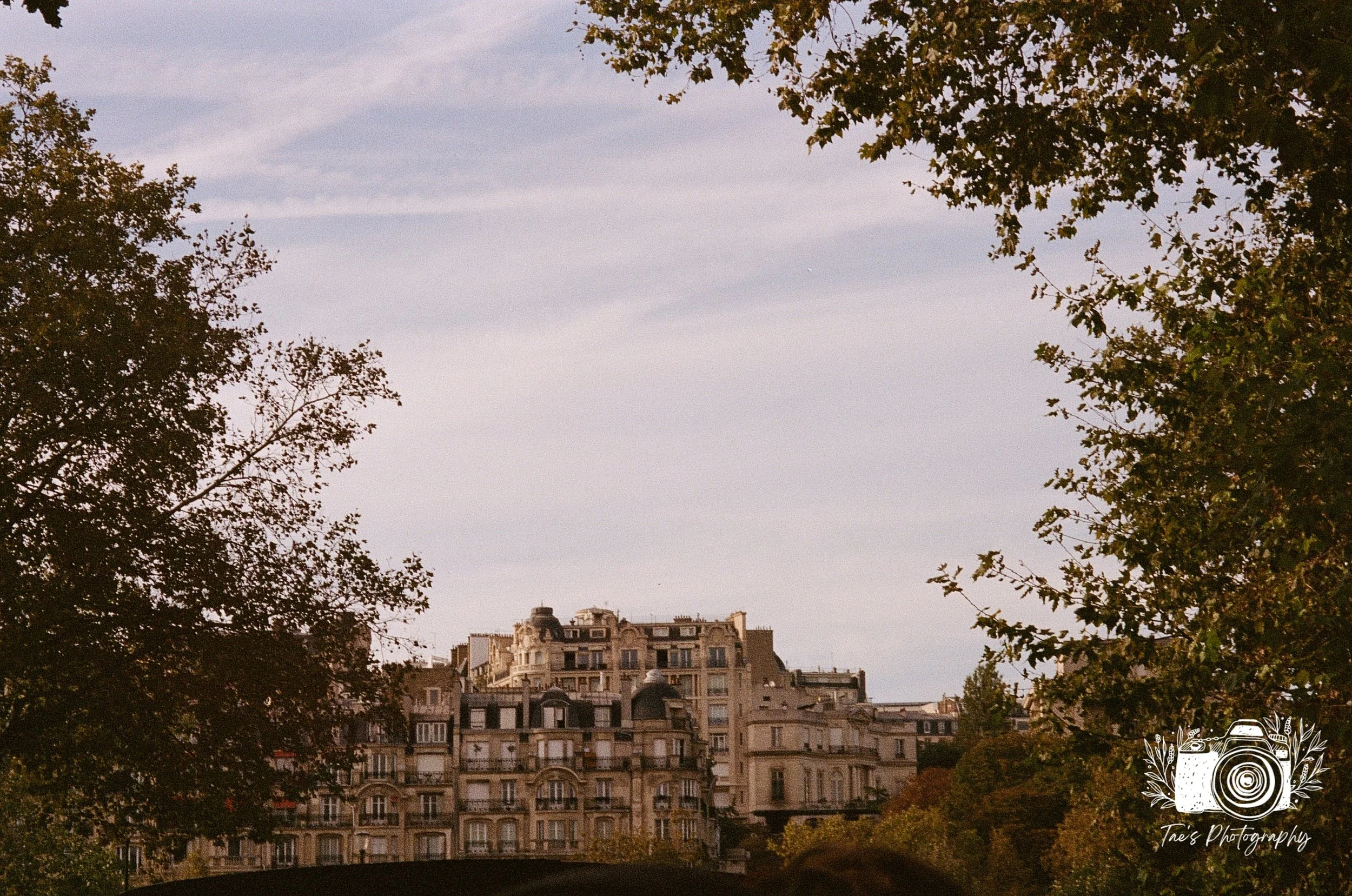 IMG_5619~photo.JPG