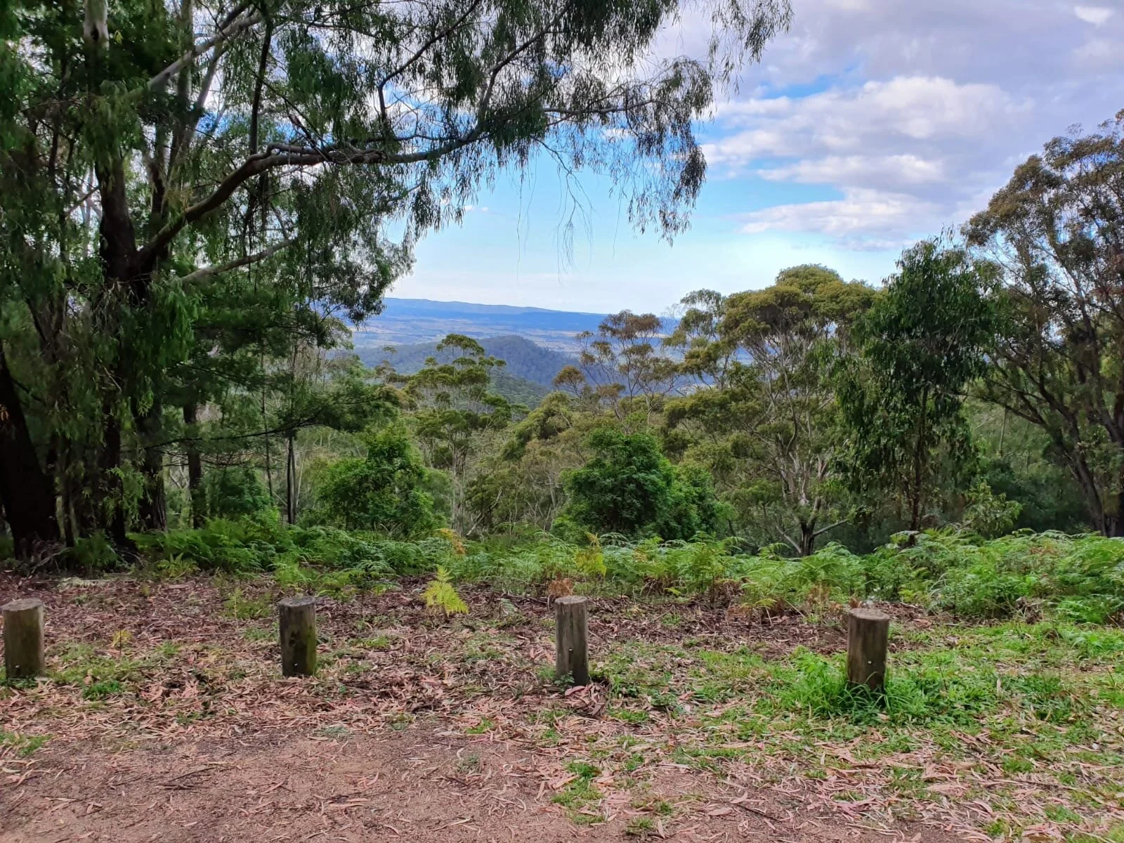 NSW Bushfire Cleanup Begins