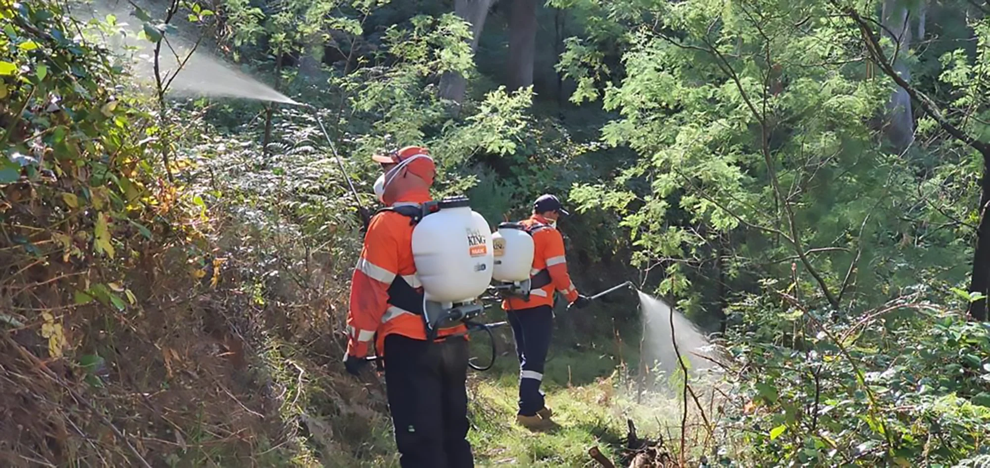 WhatsApp Image 2023-05-01 at 20.32.45.jpeg