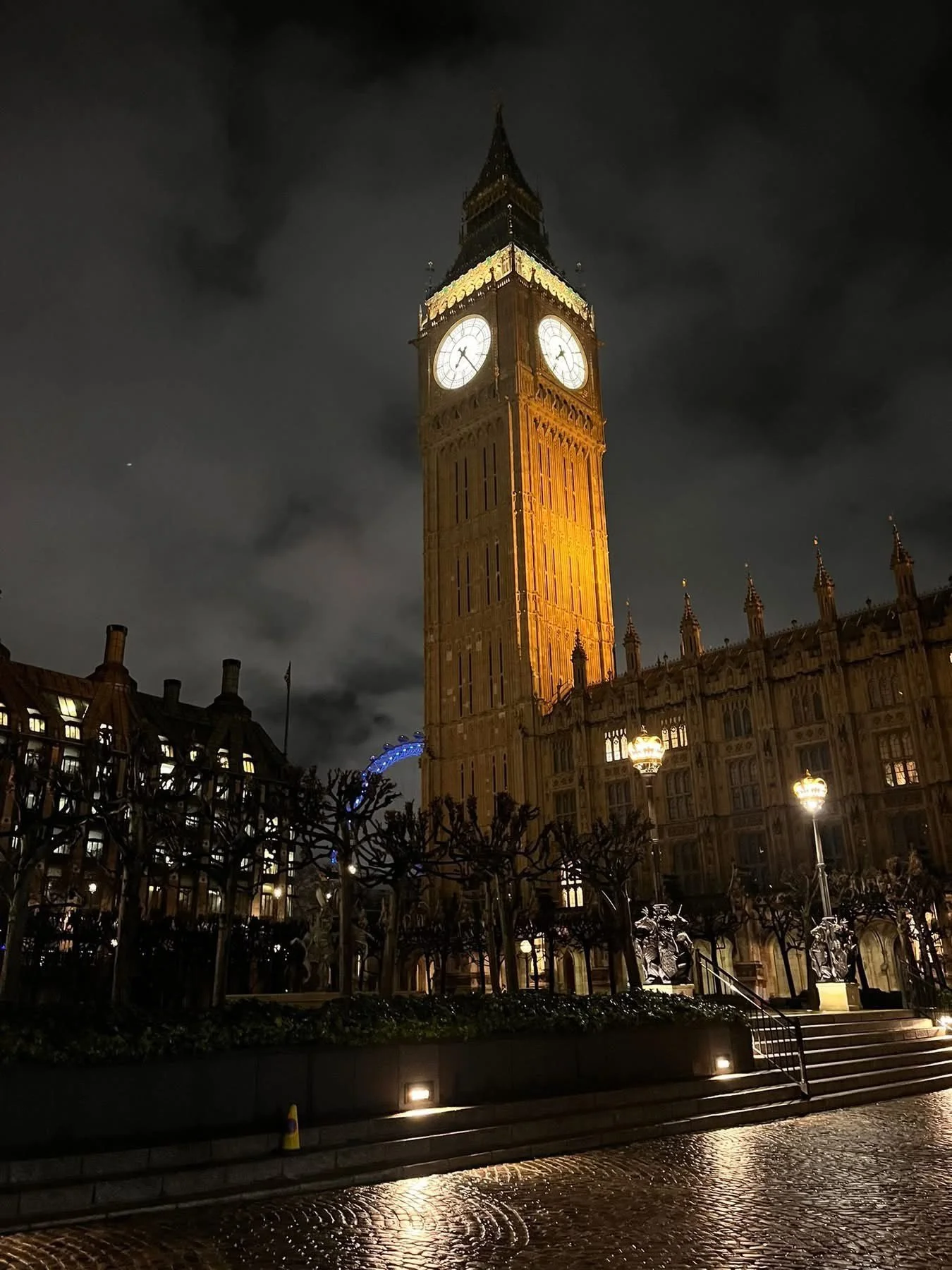 COBIS Meeting, London