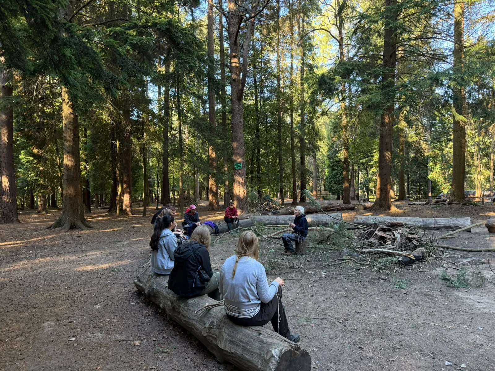 Forest School Training in the UK