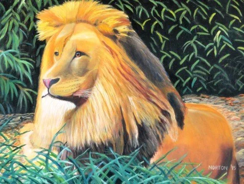 Waiting in Lion