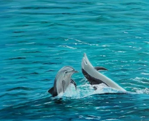 Dolphins at play