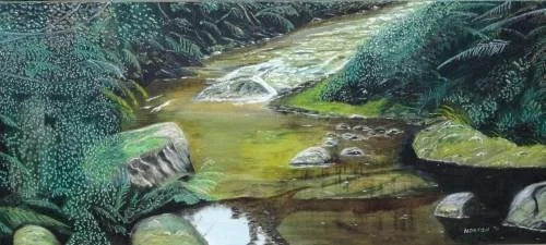 Stream in the Waitakeres