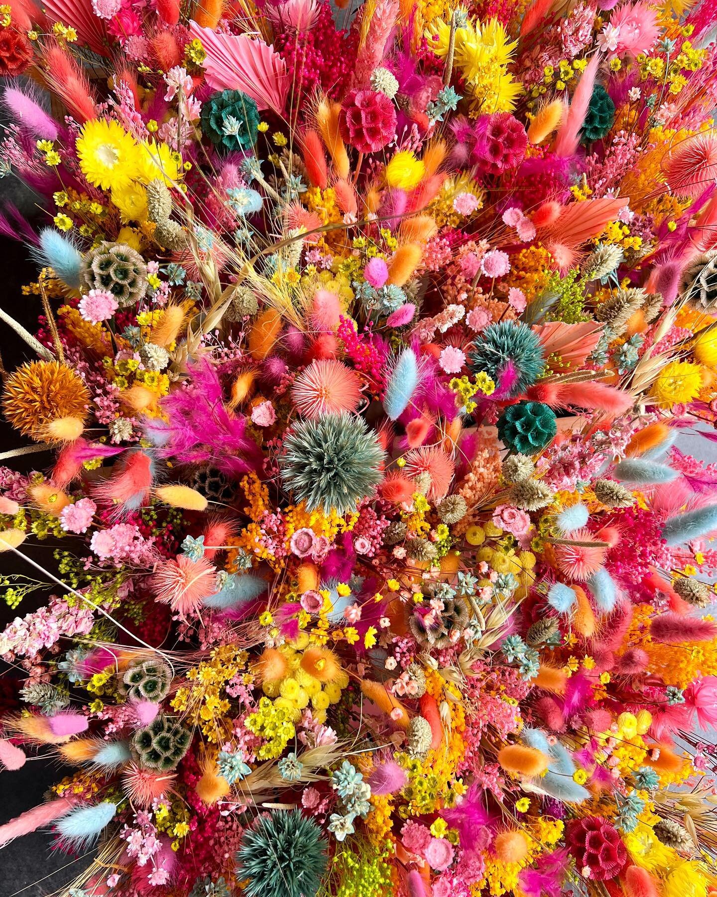 🌈COLOR THERAPY🌈 

#driedsflowers #fleurssechees #commandesurmesure #restaurant #btob #designfloral #atelierfloral #fleuristetours #tourscity #summervibes #toursmaville #toursloirevalley