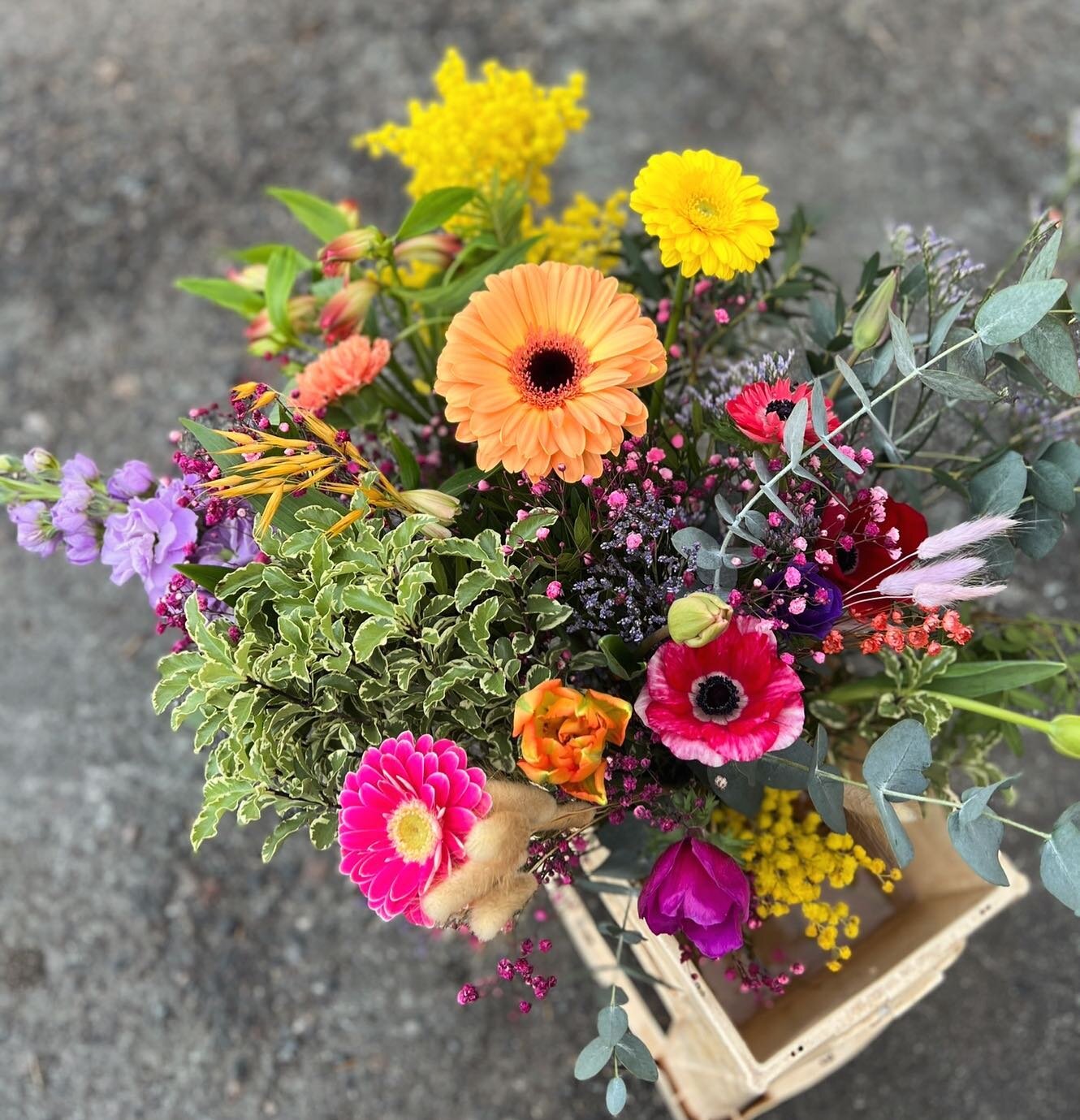 🌸🌼F&Ecirc;TE DES GRANDS-M&Egrave;RES🌼🌸

Pour fleurir vos mamie ch&eacute;rie pensez aux jolies fleurs fra&icirc;ches locales et de saison, avec des bouquets qui fleurent bon le printemps! 🌱🌿🌷🪺.

Comme d&rsquo;habitude le bouquet est surprise,