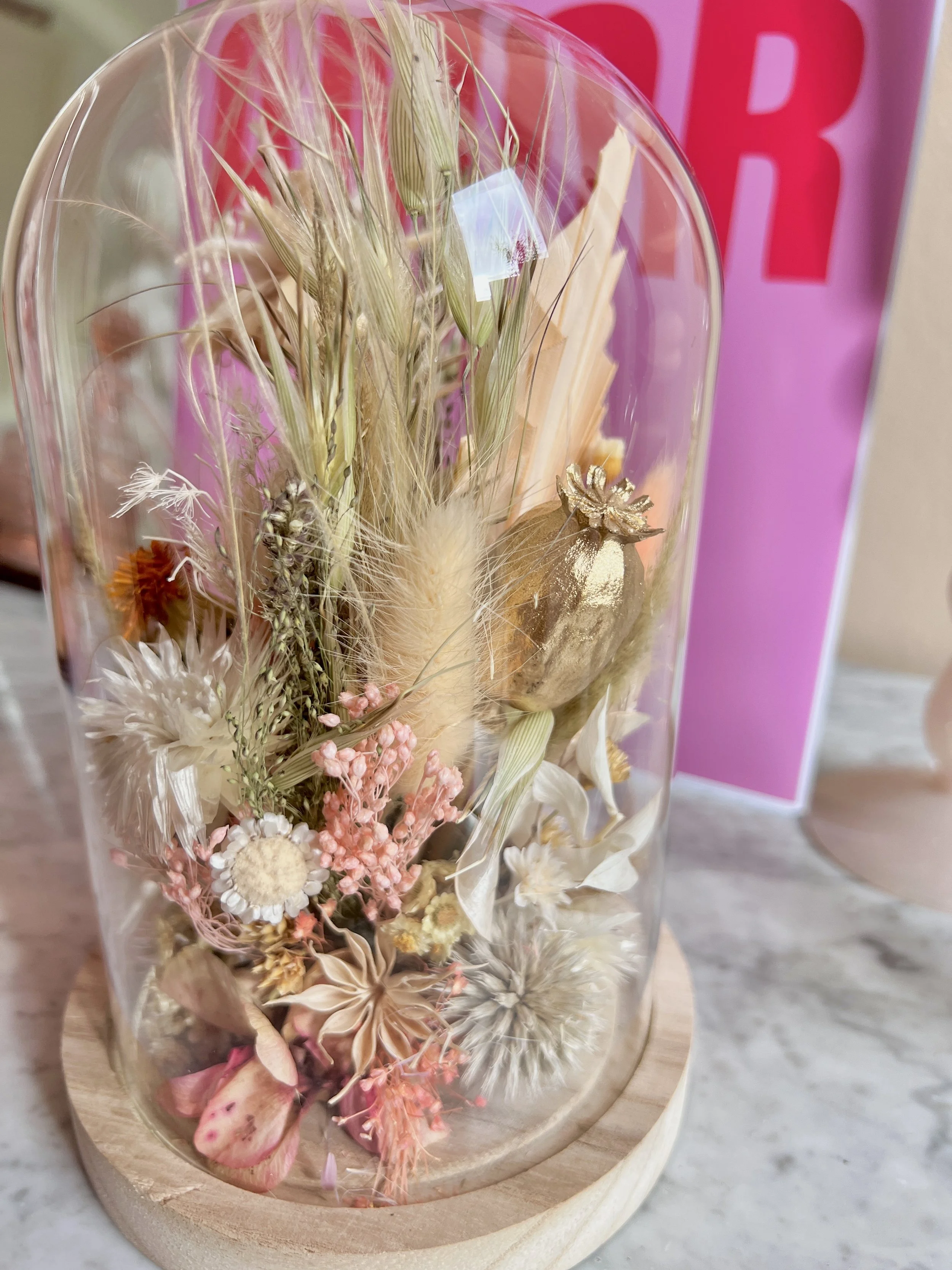 cloche fleurs séchées végétal