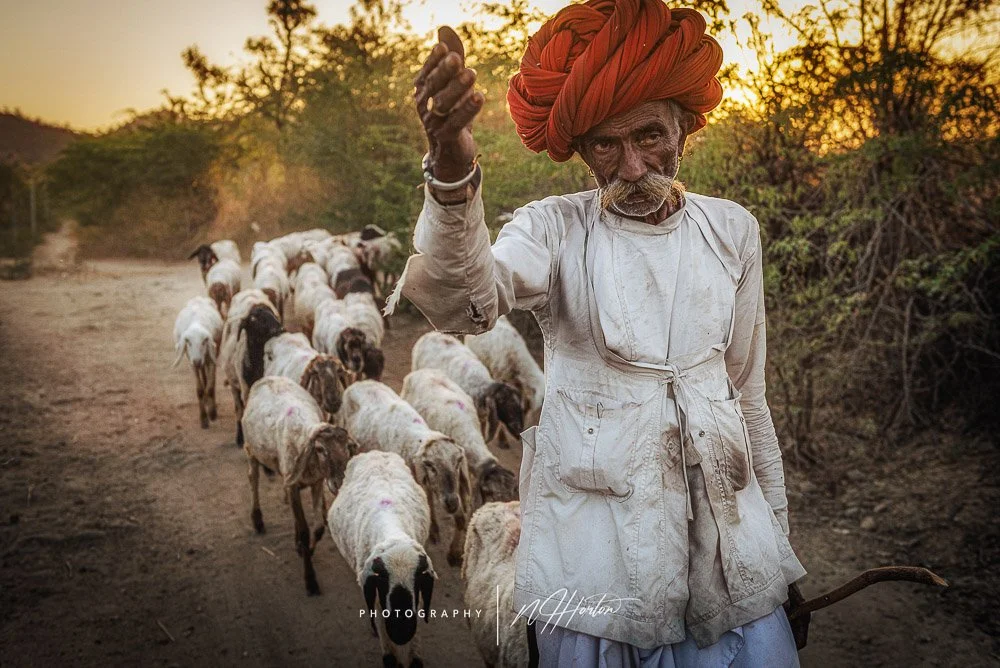 The Best Tour of Rajasthan — Nathan Horton Photography