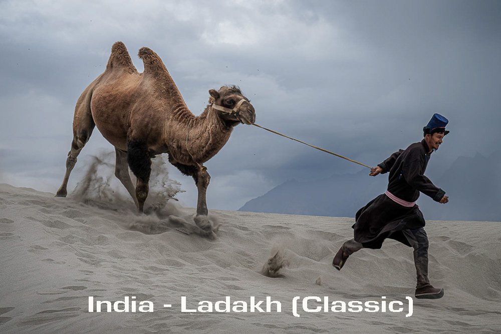India-Ladakh-Classic-Photo-Tour-Header