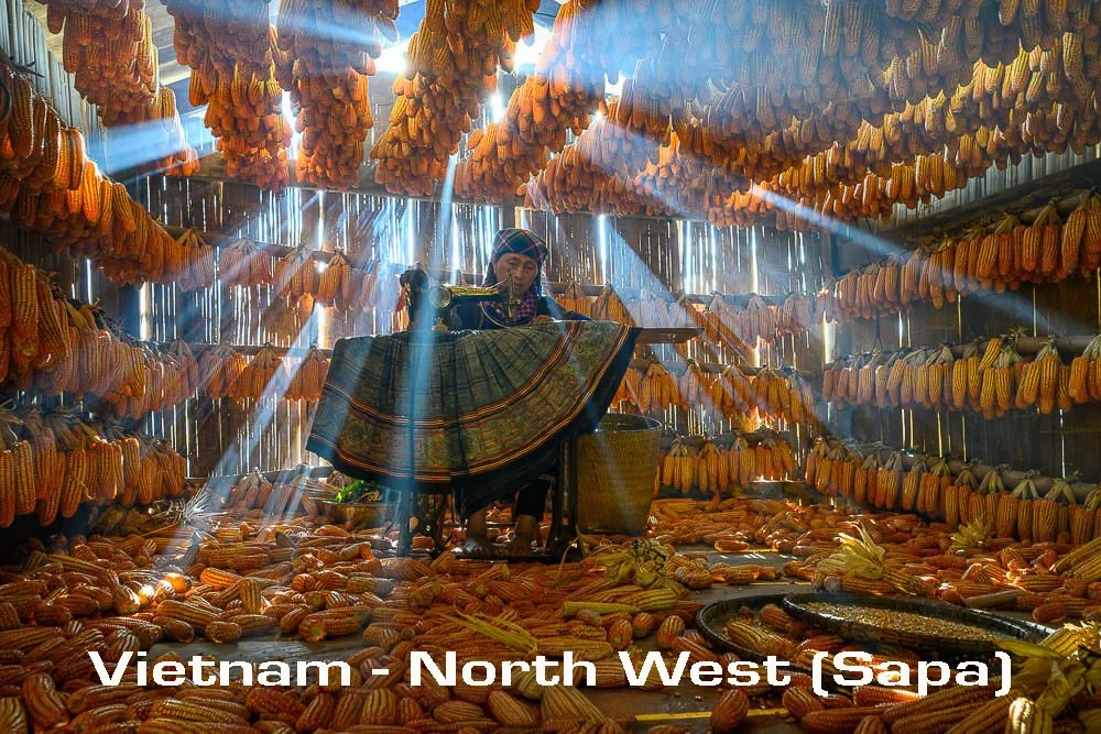 Vietnam - The North West (Sapa)