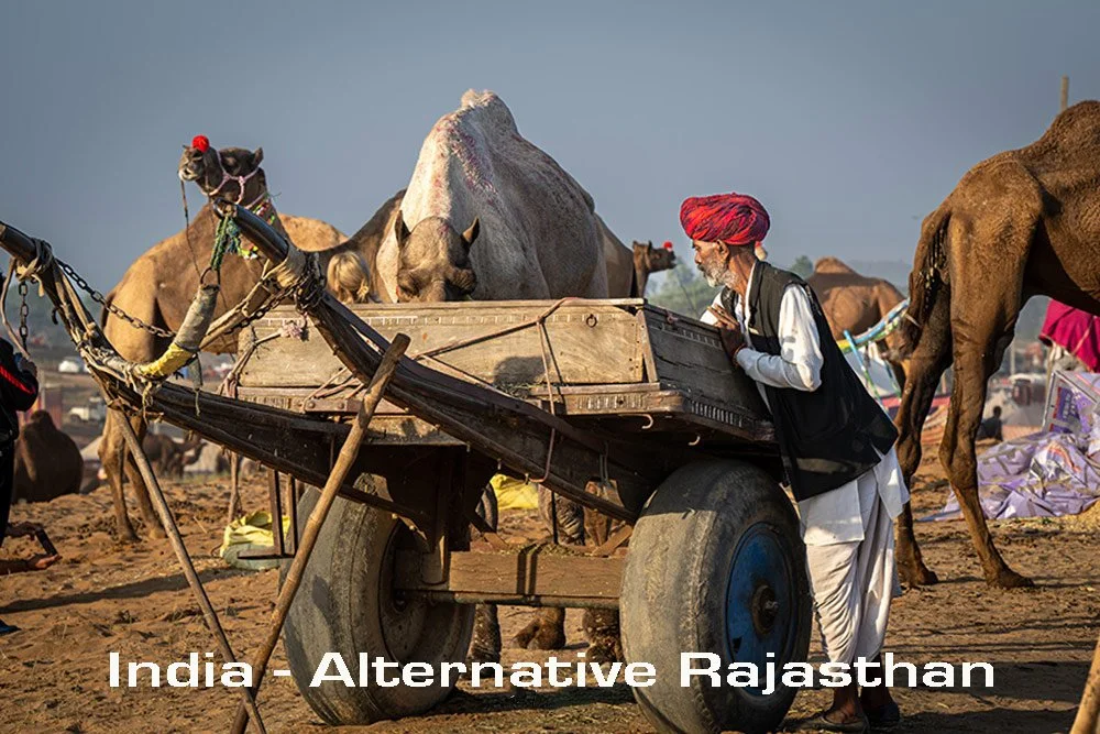 Elderly tribesman with cart at Pushkar Camel Fair, India