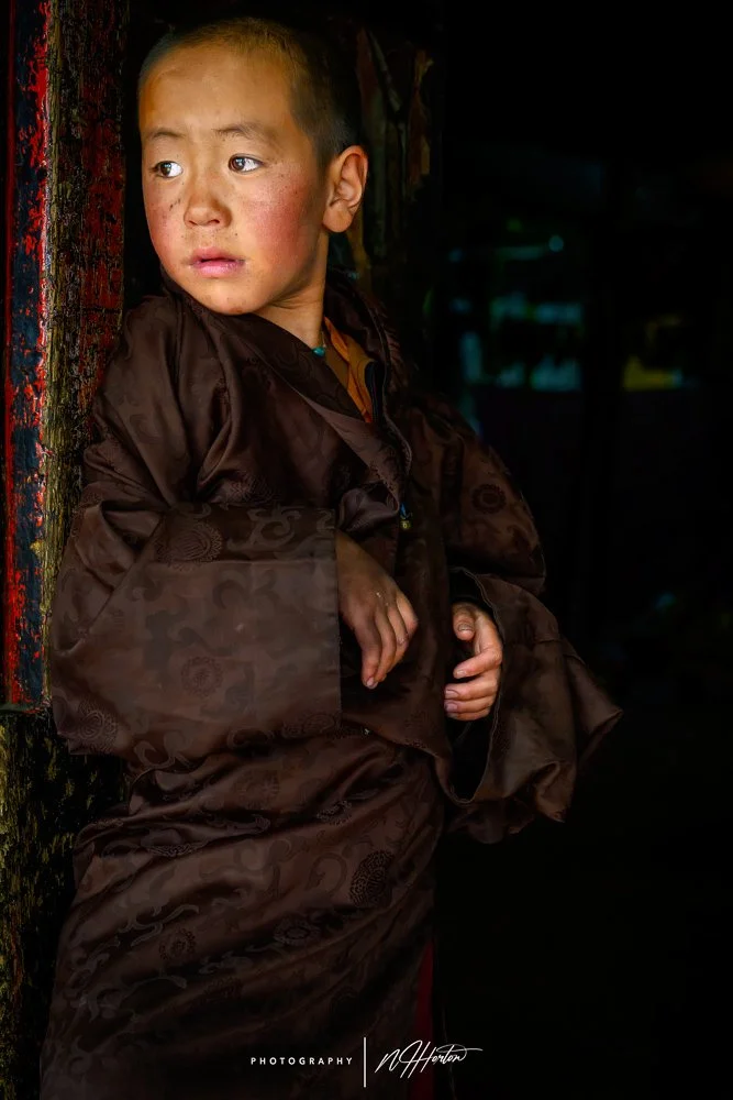 Portrait of young monk in monastry in Ladakh
