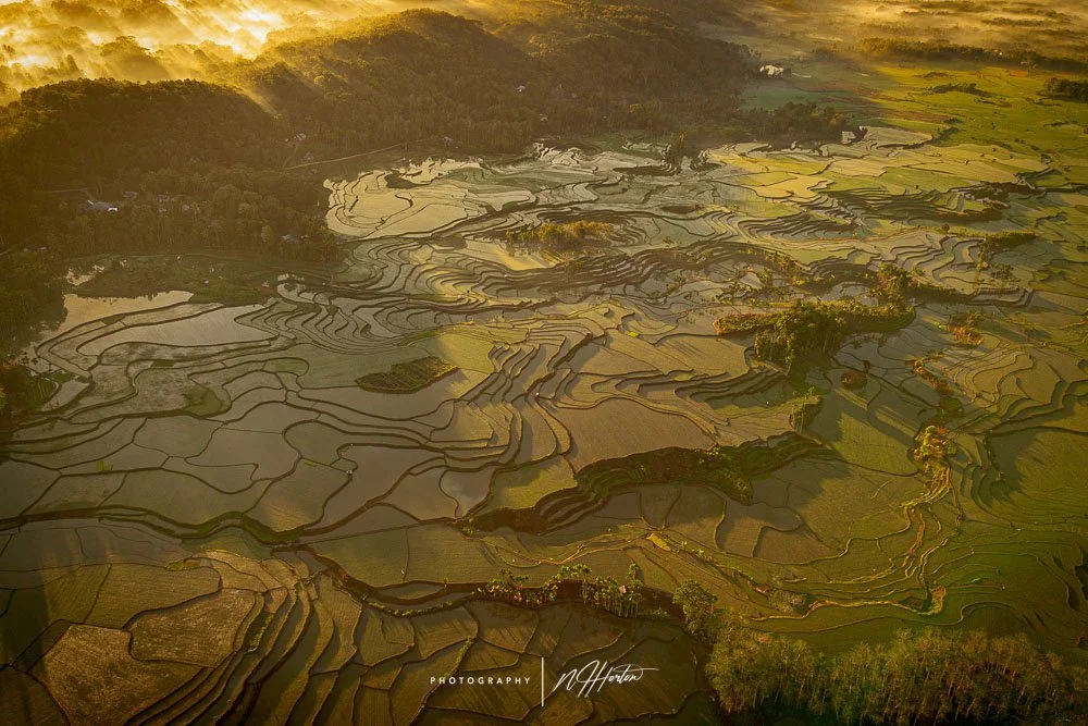 Paddy Fields at sunrise, Waikacura Waterfall, Sumba, Indonesia