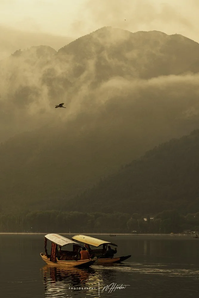 Two boats at sunset Dal Lake, Kashmir