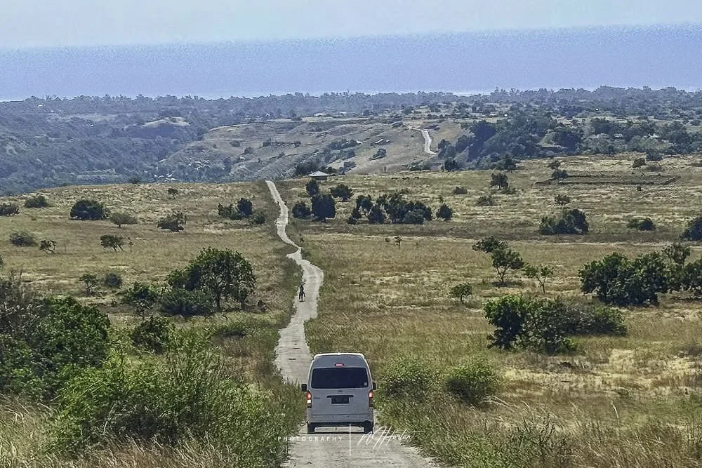 Typical vehicle for driving around country roads in Sumba.