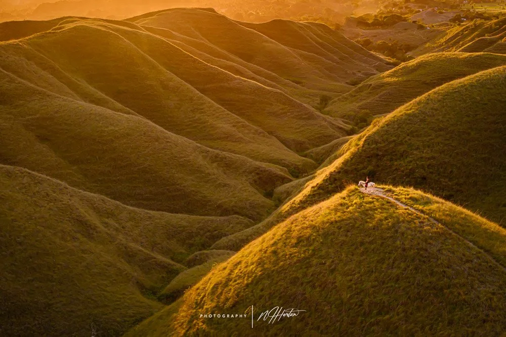 Rolling green hills at sunset, Waingapu, Sumba, Indonesia.