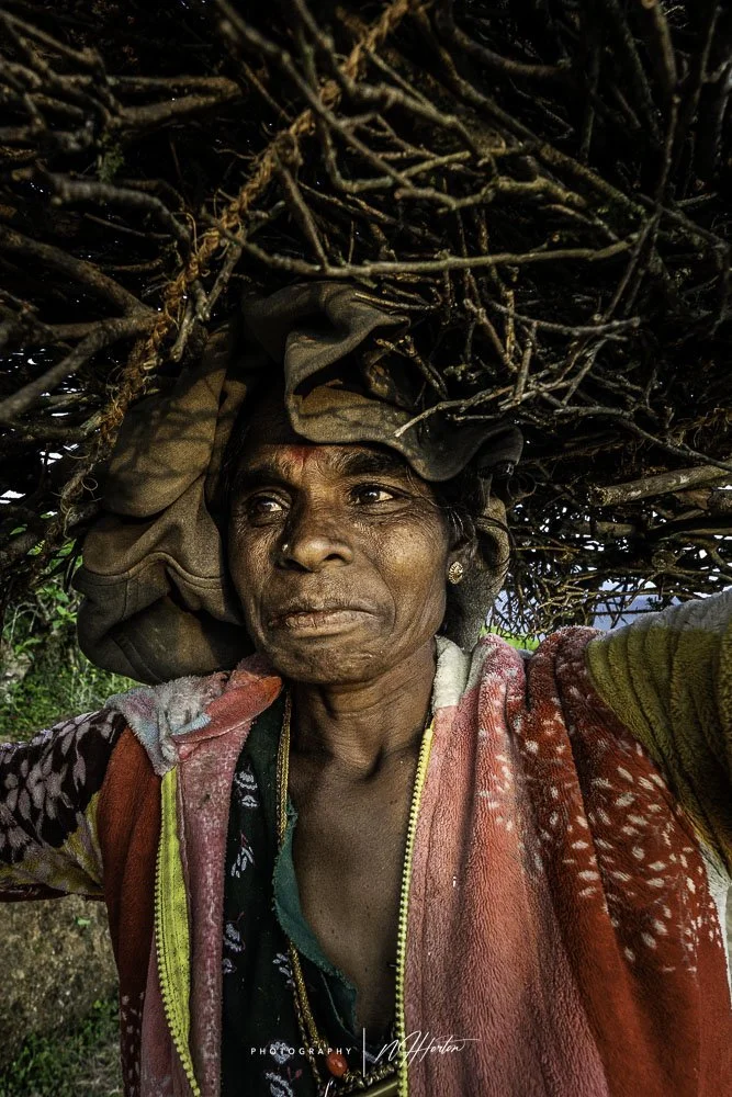Portrait of Sri Lankan woman carrying firewood
