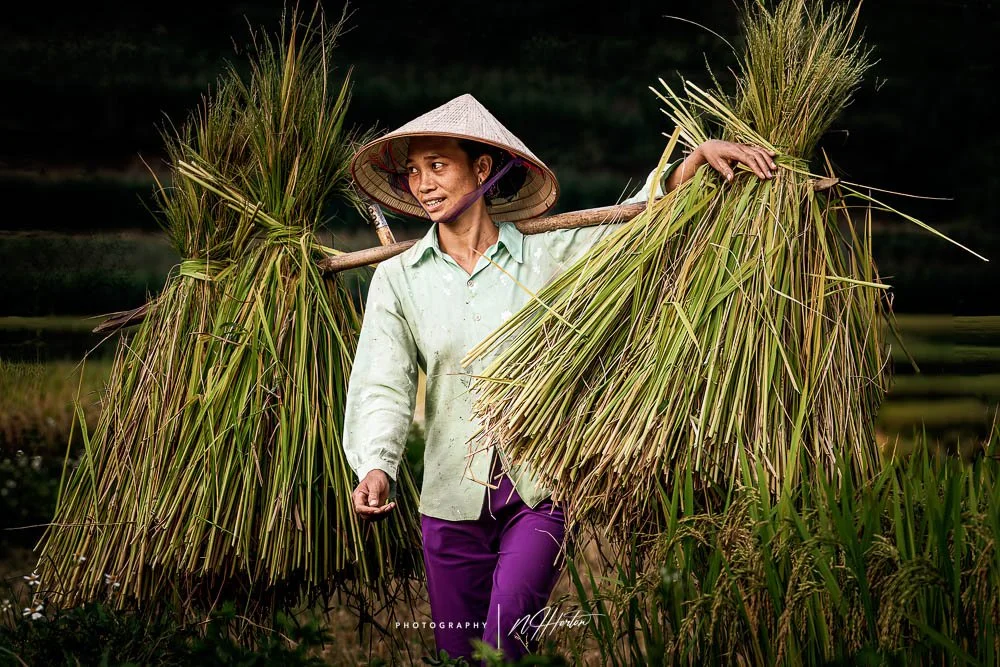 Female-farmer-in-Ha-Giang-region- North Vietnam.