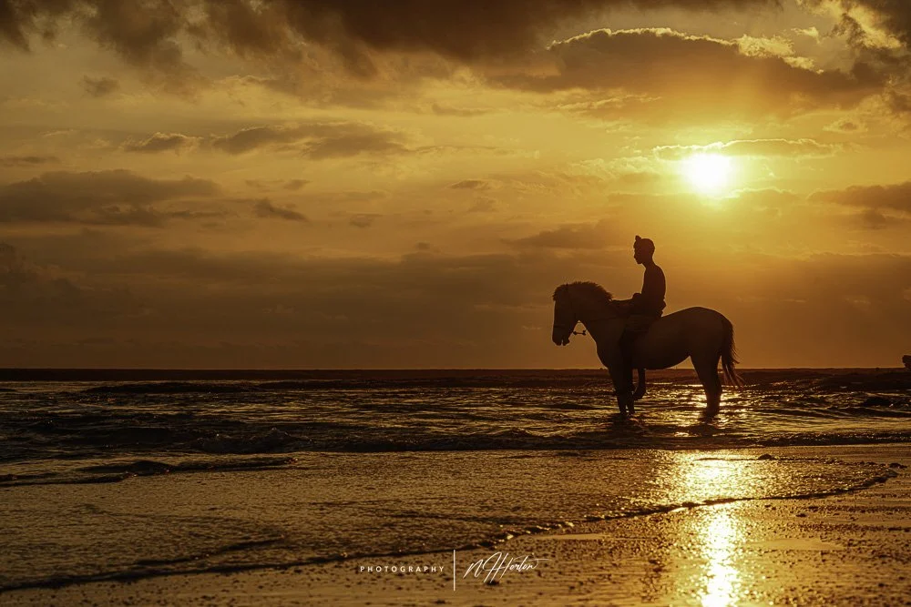 Man with horse on beach at sunset, Sumba, Indonesia