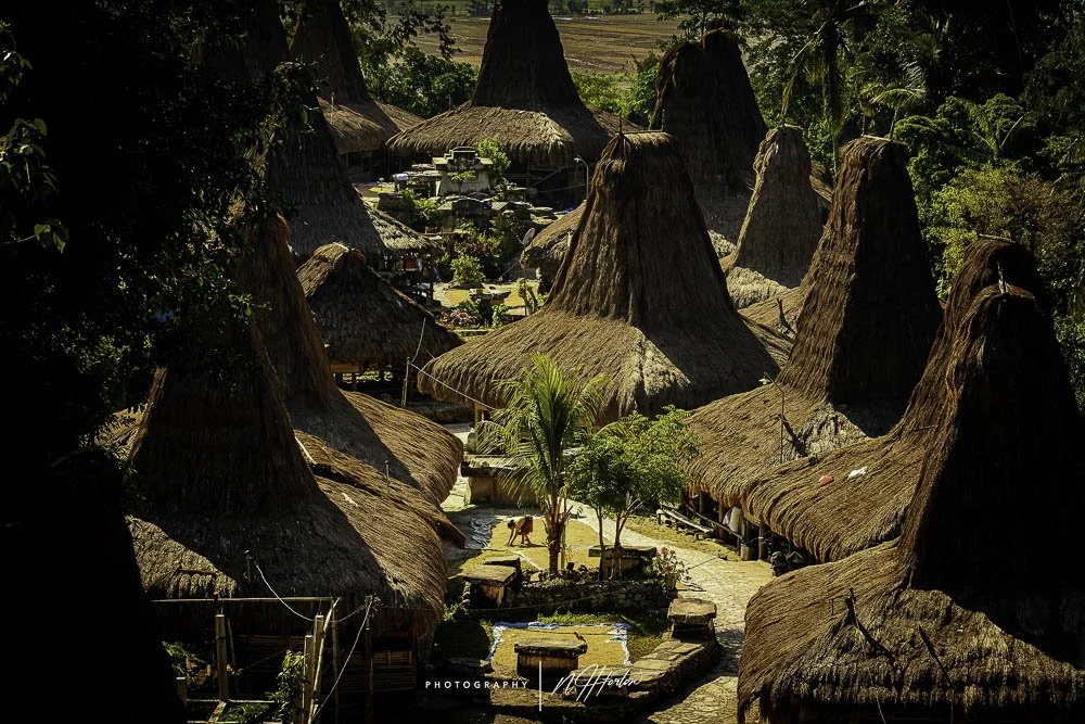 Traditional hill top village, Sumba, Indonesia