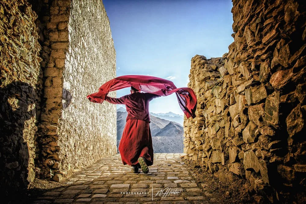 Large Buddha at Diskit Monastery, Ladakh, India