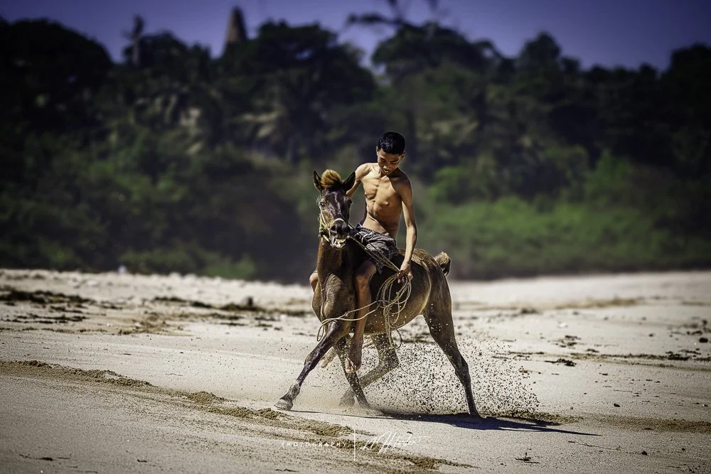 Boy riding horse on white sand beach, Sumba, Indonesia
