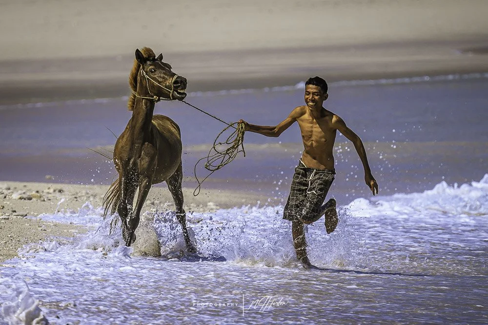 Boy with horse on surf beach, Sumba, Indonesia