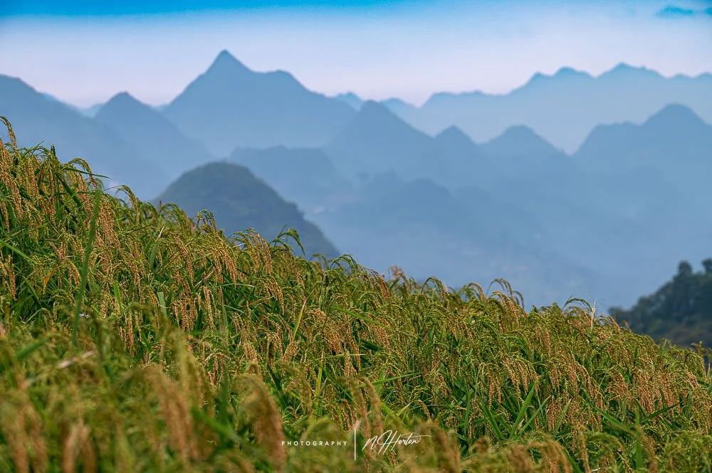 Atmosheric mountains in Ha Giang region of North Vietnam.