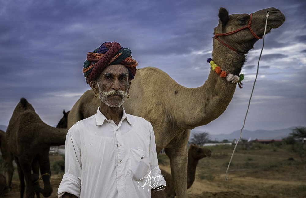 Man with Camel Pushkar Mela Rajasthan India