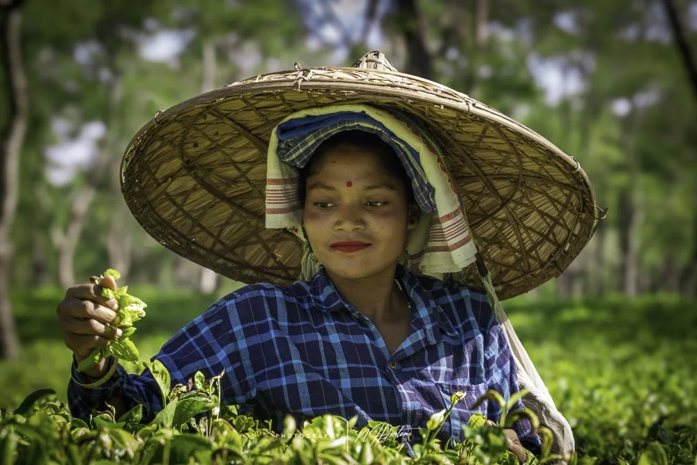 Woman-happy-working-tea-plantation-Assam-India