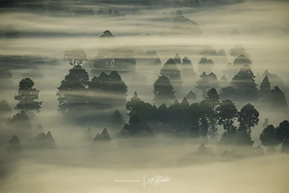 Misty sunrise at Ziro valley, Arunachal Pradesh, India