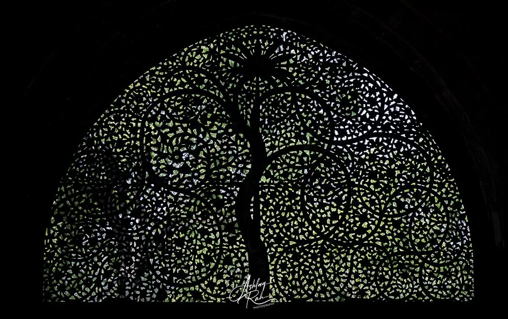 Mosque carved window, Ahmedabad, Gujarat, India India
