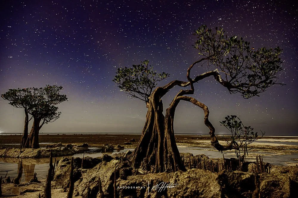 Dancing trees against beach at night in Sumba