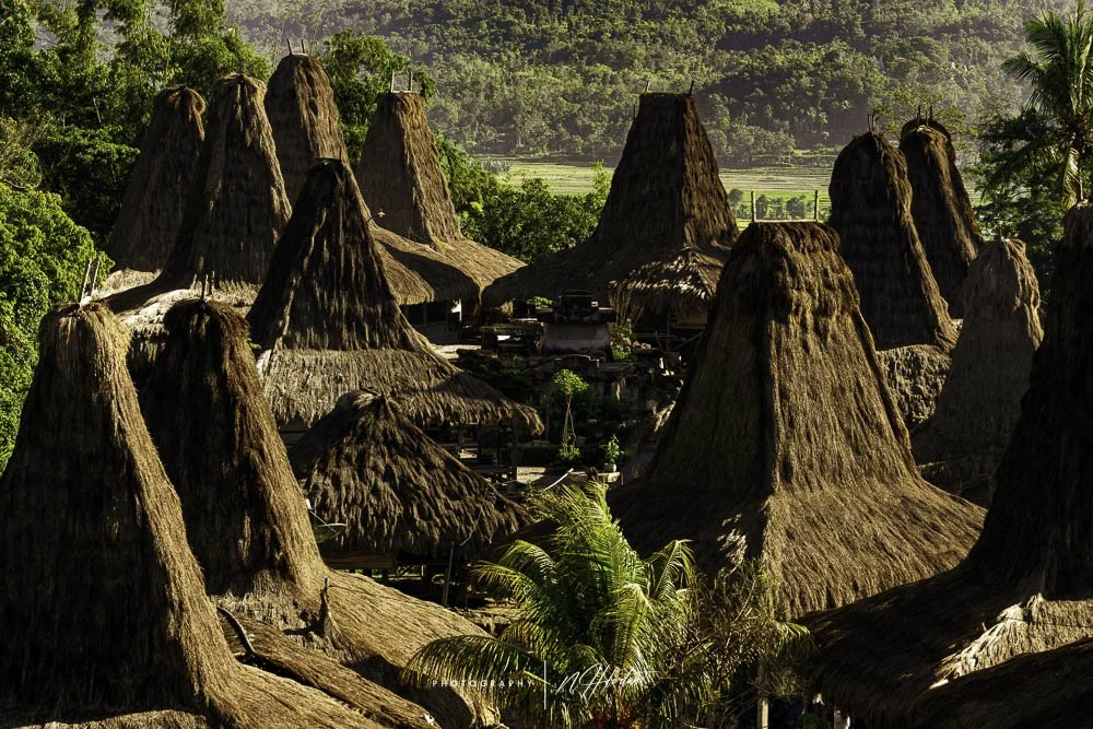 Traditional village roof tops, Sumba, Indonesia