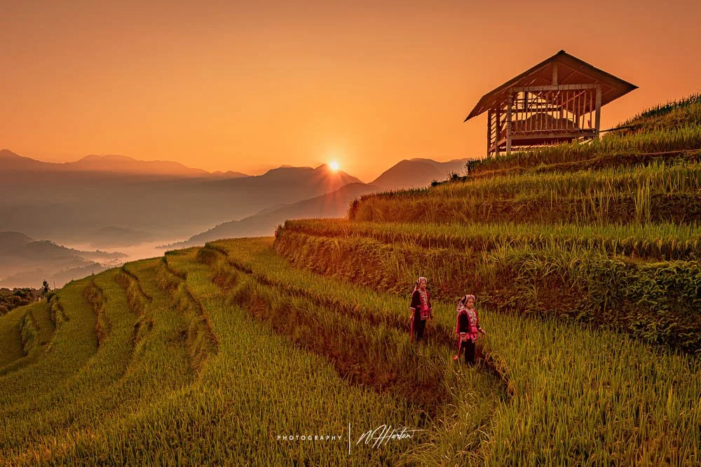 Ladies in red walk in Hoang Su Phi paddy fields, North Vietnam.