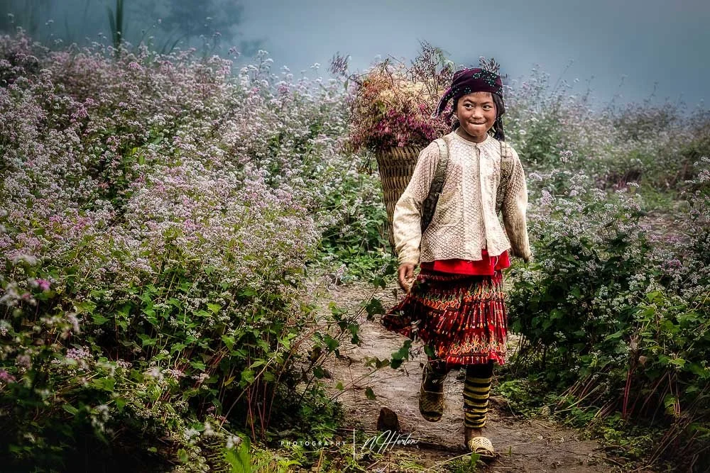 Local girl walking through seasonal flower fields of Ha Giang region, North Vietnam.