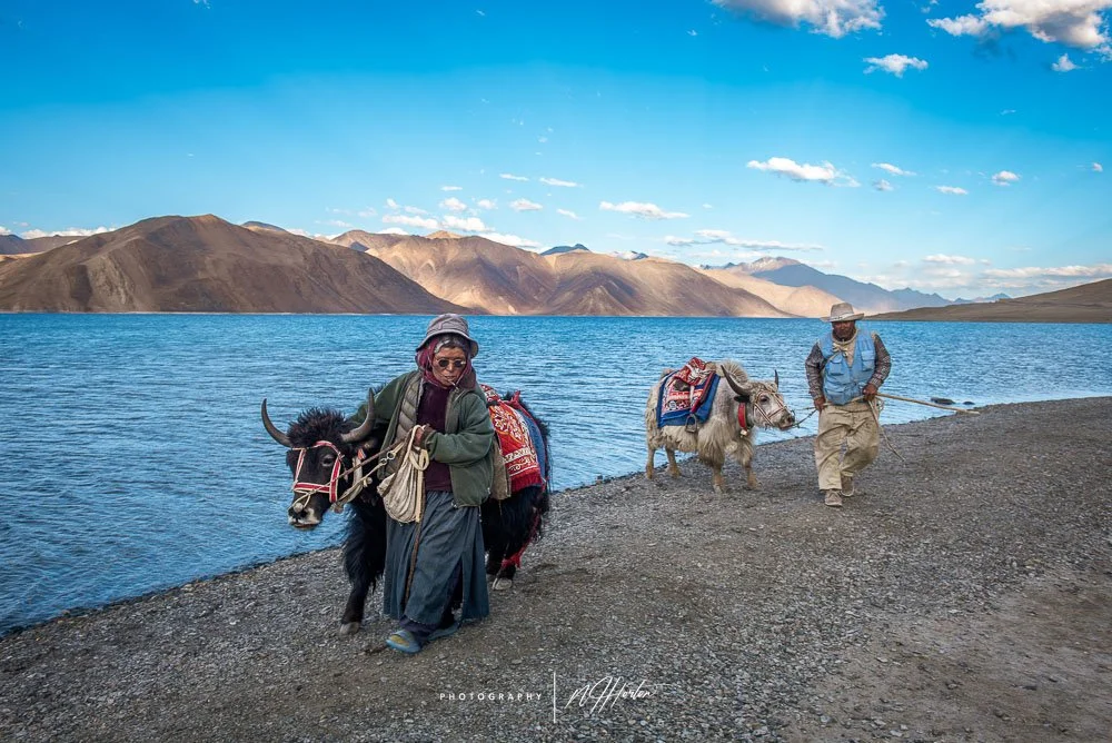 Pangong Lake in dawn light -Ladakh, India