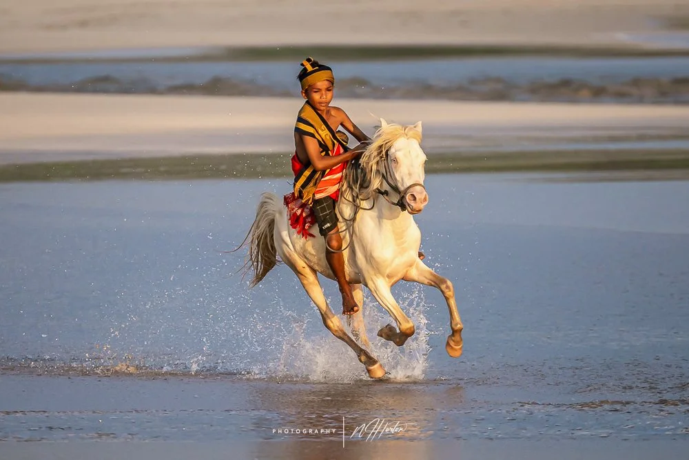 White horse in surf, Kodi, Sumba, Indonesia