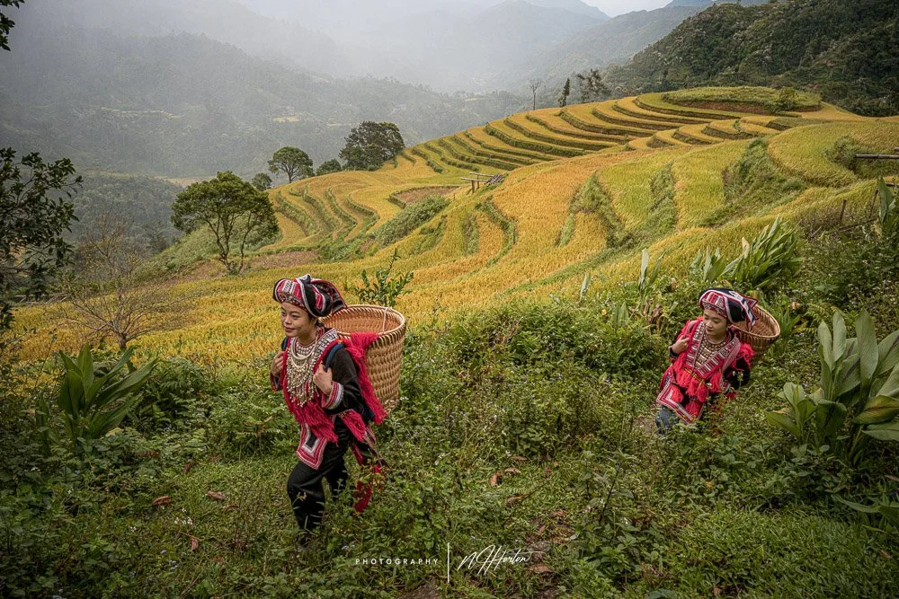 Hill tribe model shot in rice terrace, north Vietnam