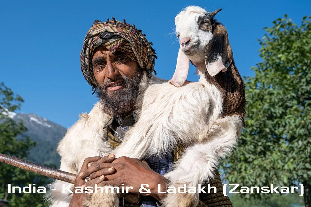 India-Kashmir-tour-header