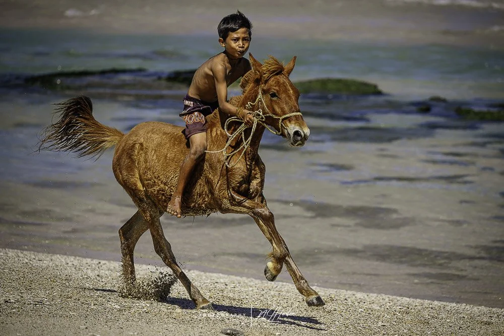 Sumba & Flores- Photo Portfolio