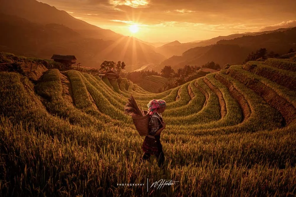 Mu Canh Chai Horse shoe rice terrace, Sapa, North Vietnam