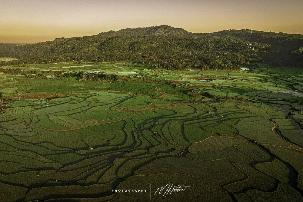 Terraced rice paddies at sunset, Sumba, Indonesia