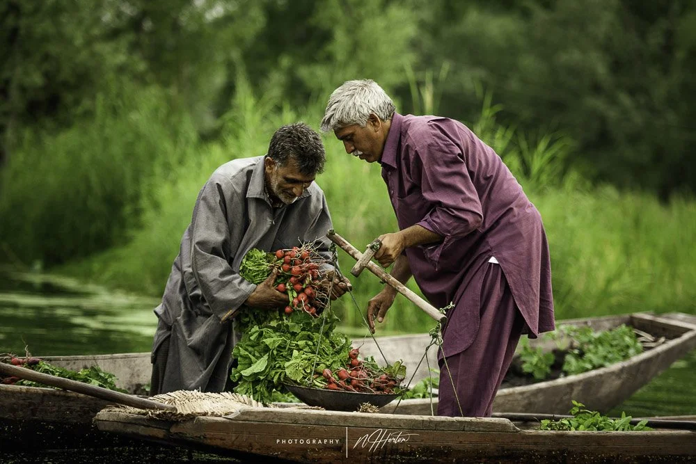 Vegetable market on Dal Lake, Kashmir