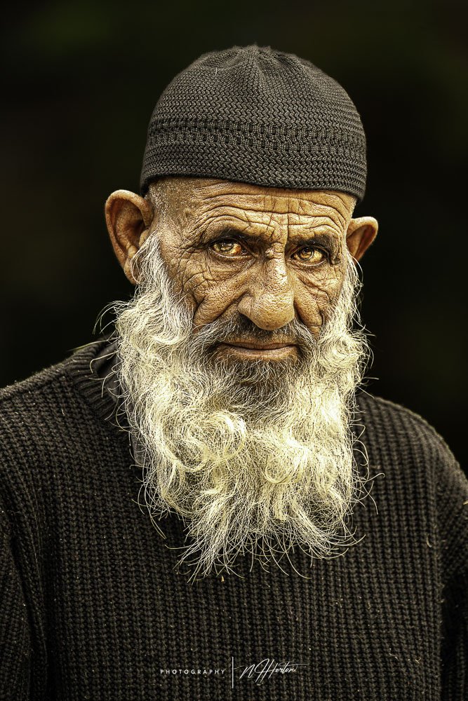 Portrait of bearded man Kashmir India