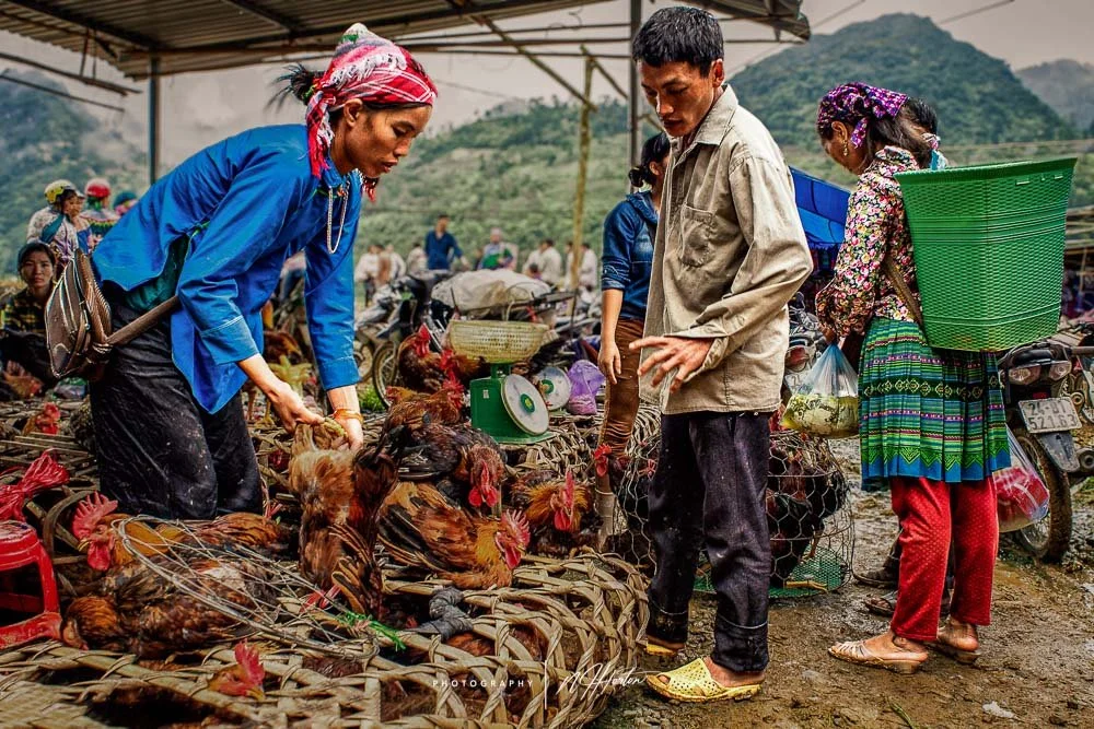 Weekend Market, Ha Giang Loop North Vietnam, Asia.