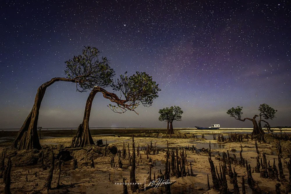 Dancing trees against beach at night in Sumba
