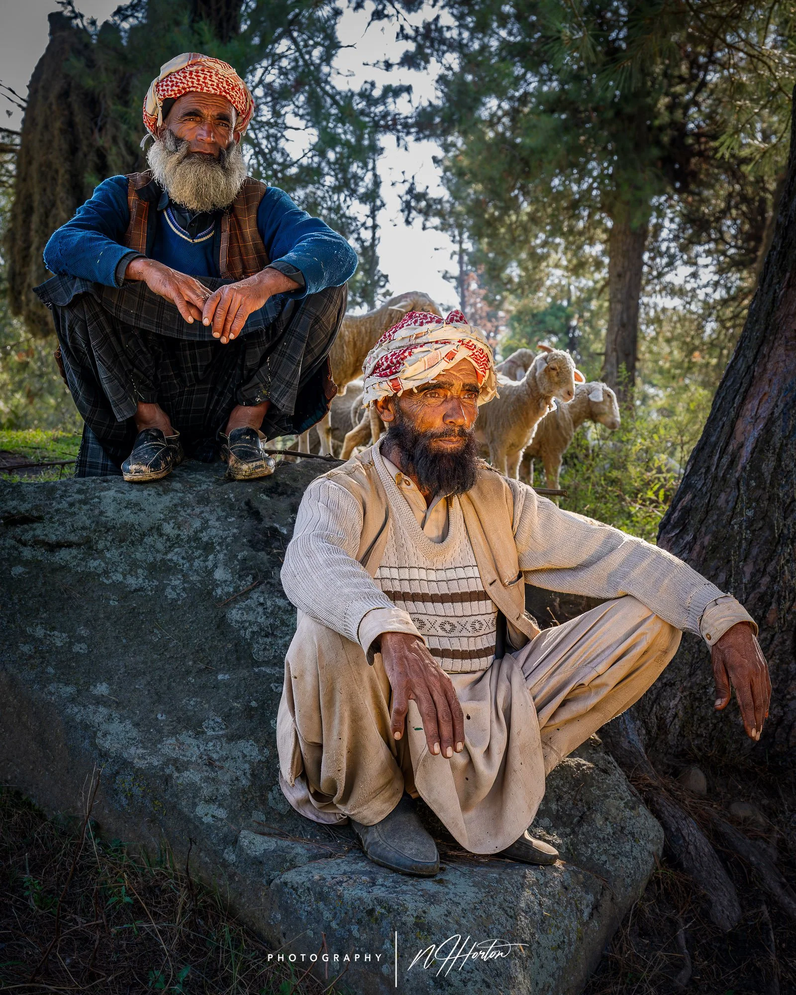 Goat herders, Kashmir